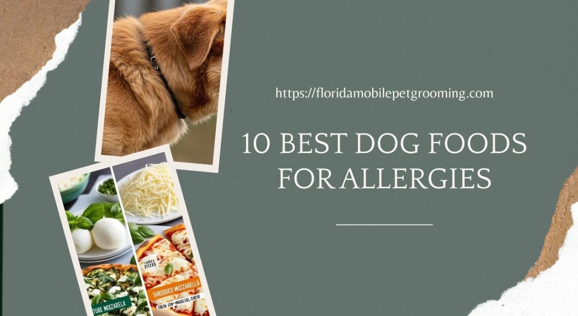 Dog Foods for allergies in Florida