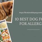 Dog Foods for allergies in Florida