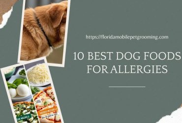 Dog Foods for allergies in Florida